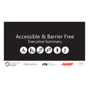 Accessible & Barrier Free Executive Summary graphic with a row of accessibility icons