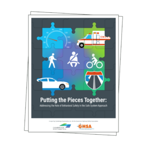 Cover of a report titled "Putting the Pieces Together" with a puzzle graphic